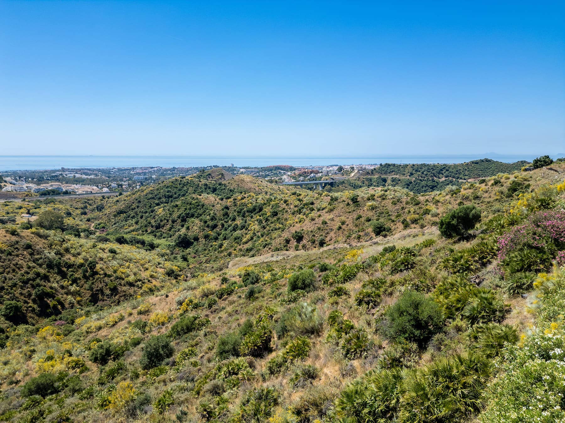 Prime plot in exclusive location